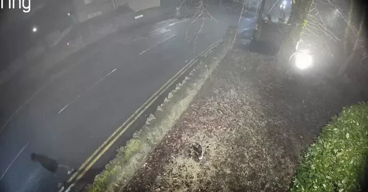 Police want to speak to man captured on CCTV in connection with a burglary