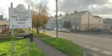 Grass-cutting delays hit Welsh county amid staffing challenges