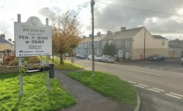 Grass-cutting delays hit Welsh county amid staffing challenges