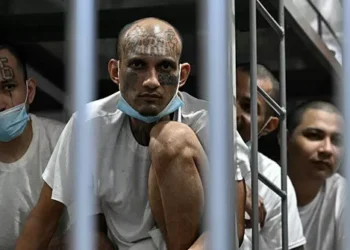 Judge Backs Trump’s Use of Alien Enemies Act to Deport Tren de Aragua Gangsters