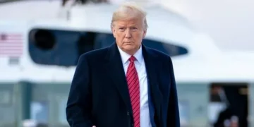 Poll: President Trump Is Winning the Transgender Debate