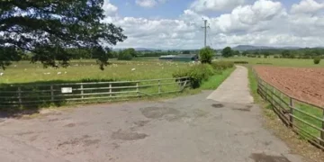 Farmer falsified certificates stating eggs he sold had been salmonella tested