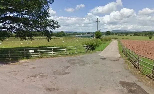 Farmer falsified certificates stating eggs he sold had been salmonella tested