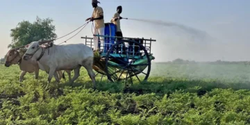 Govt asks select States to increase inter-state trade on e-NAM platform