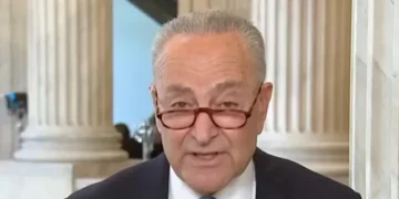 Schumer Demands Apology from Elon Musk