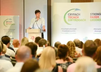 Welsh council leader ‘concerned’ about impact immigration plan could have on care