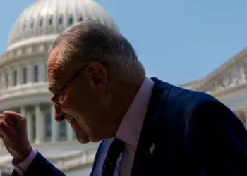 Schumer Hospitalized, Treated for Dehydration After Feeling ‘Lightheaded’ Due to Heat