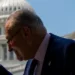 Schumer Hospitalized, Treated for Dehydration After Feeling ‘Lightheaded’ Due to Heat