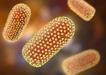 British woman dies from rabies after encounter with stray dog