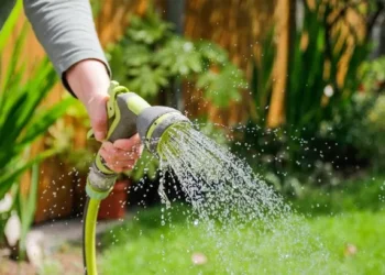 Gardeners warned over mistake that could cause dogs seizures