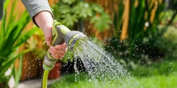 Gardeners warned over mistake that could cause dogs seizures