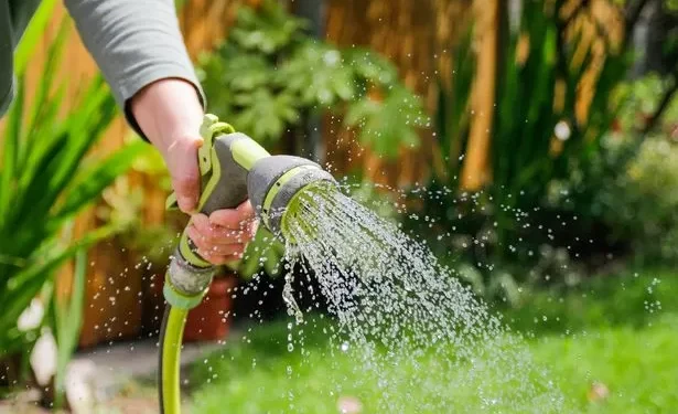 Gardeners warned over mistake that could cause dogs seizures