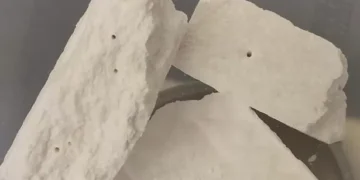 The huge amount of cash and drugs police found during raid of house in Welsh street