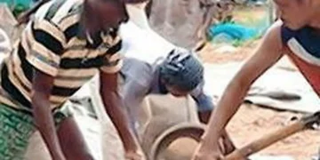 Many FPOs struggling as they face a slew of challenges