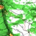 Monsoon breaks 20-day-long hiatus, may enter North-West India this week