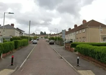 Five local residents arrested after violent disturbance in Swansea neighbourhood