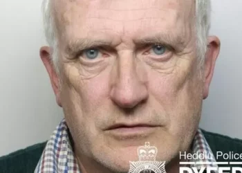 Pensioner deleted hundreds of files from phone and lied to police