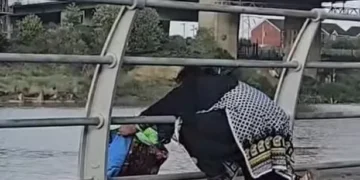 Investigation under way after woman seen chucking rubbish into river