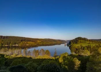 A lake walk with wildlife, forest trails and a bar with epic views