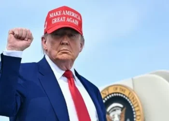 Trump Plans to Host UFC Fight at the White House for Nation’s 250th Birthday