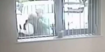 Moment Welsh tycoon ‘assaults’ lawyer caught on CCTV