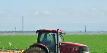 Brooke Rollins Announces ‘Complete Reorganization’ of USDA, Moving Employees Out of D.C. Closer to Farmers