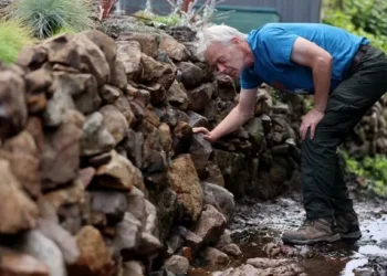 Huge storm brought down fence and uncovered forgotten feature in this garden