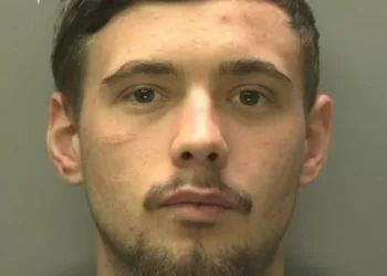 He said he was in Swansea for the beach and had no idea what was hidden in his pants