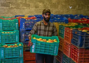 Rains in the Valley break heat spell, spark optimism among apple growers