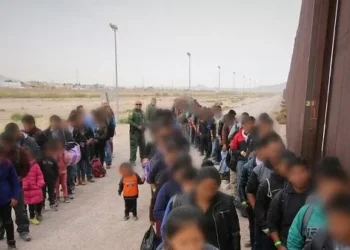 White House: $40 Billion in Benefit Programs Protected from Illegals Under Trump EO