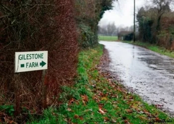 Serious concerns raised over how Welsh Government bought £4.25m farm