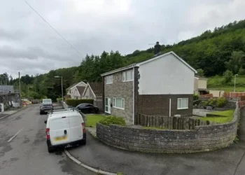 Homeowners fail in bid to have 62 trees they fear could fall onto their houses chopped down