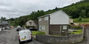 Homeowners fail in bid to have 62 trees they fear could fall onto their houses chopped down