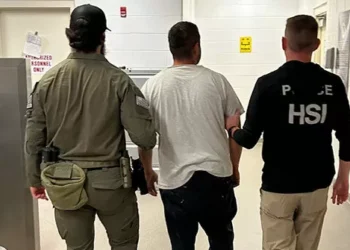 ICE: MS-13 Kingpin on El Salvador’s ‘Top 100 Most Wanted’ List Found Hiding in Nebraska