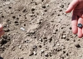 Ethiopian fossils offer glimpse into complex human evolution