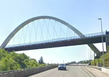 Horse killed and driver taken to hospital in another crash on busy Valleys road