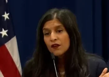 Soros-Linked Lobbyist at DNC Summer Meeting: Migrant Crime, Carjackings ‘Don’t Matter to That Many Americans’