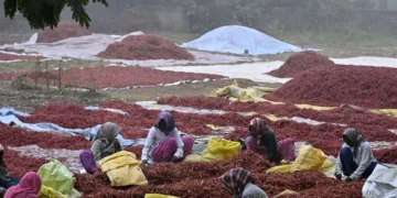 Andaman launches project to revive historic spice route and boost local cultivation