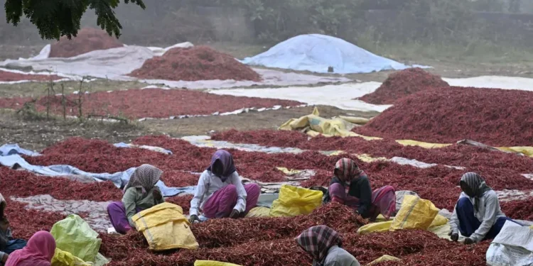 Andaman launches project to revive historic spice route and boost local cultivation