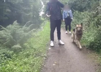 Debate rages after female cyclist pushed into canal