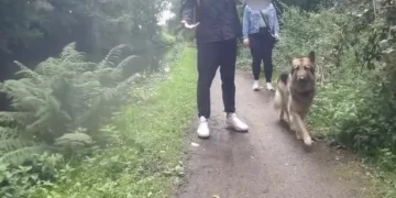 Debate rages after female cyclist pushed into canal