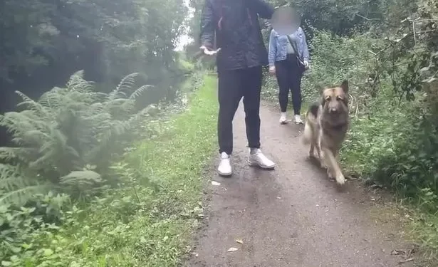 Debate rages after female cyclist pushed into canal
