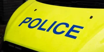 Public asked to avoid area of Cardiff amid police incident