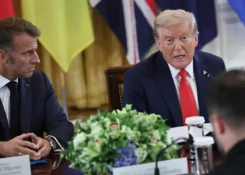 Trump Calls Putin During Talks With Europeans, Makes Plan for Zelensky-Putin Peace Meeting… Predicts Deal Within Weeks