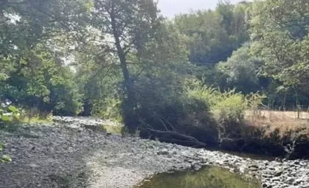 Drought declared across more areas of Wales