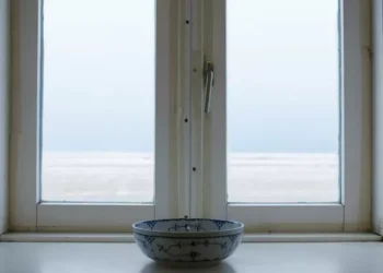 People urged to put bowl of water on windowsill as heatwave hits Wales