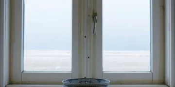 People urged to put bowl of water on windowsill as heatwave hits Wales