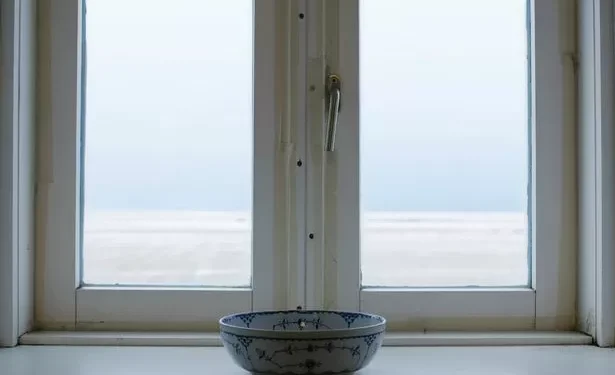 People urged to put bowl of water on windowsill as heatwave hits Wales