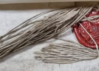 Shakespeare family will found by historian