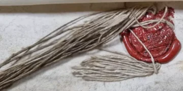 Shakespeare family will found by historian